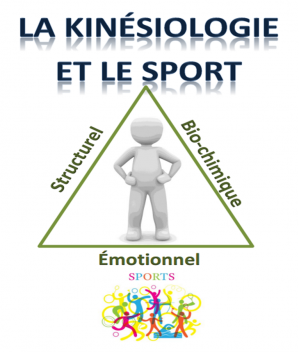 La kinesiologie et le sport